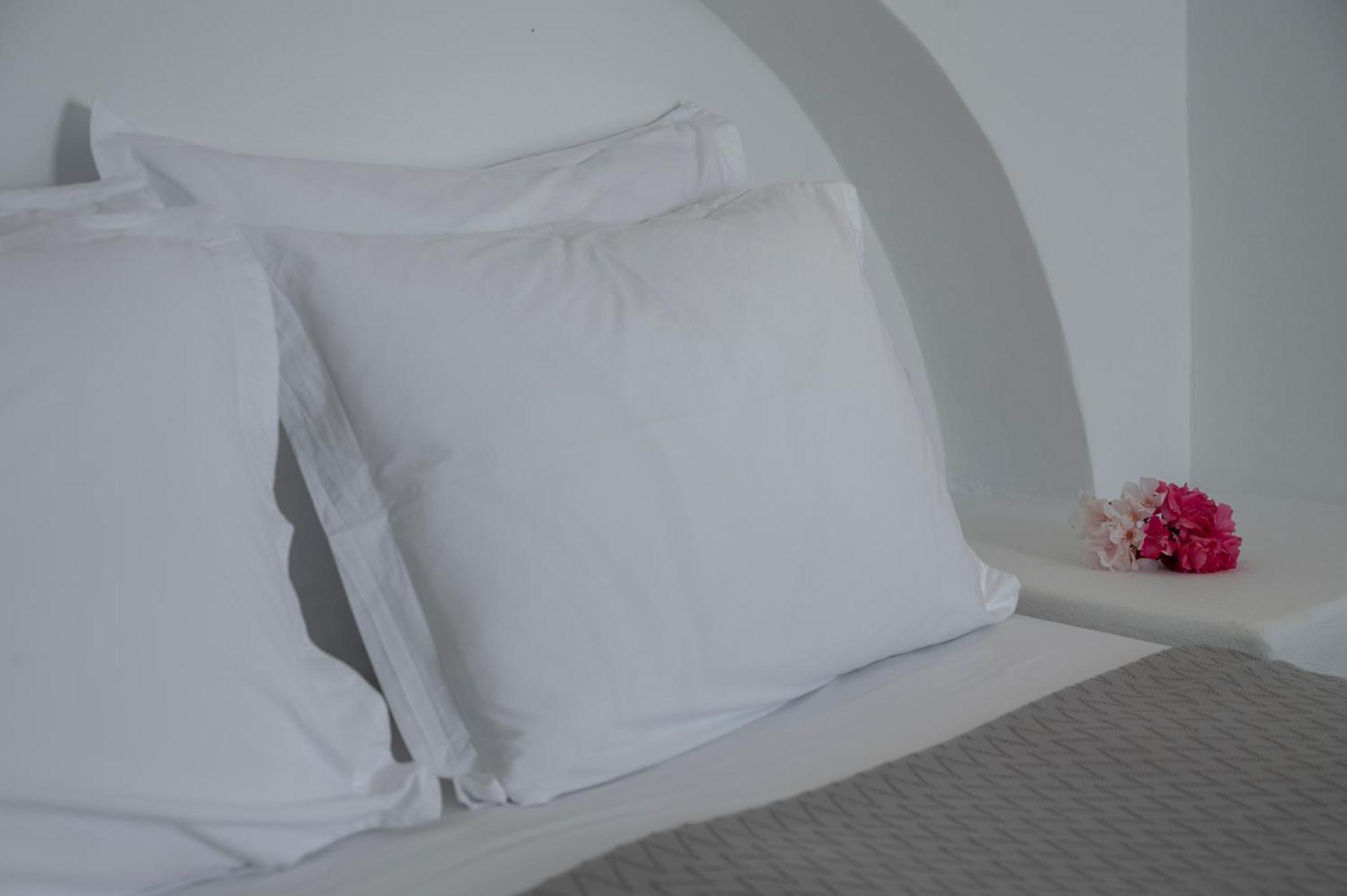Aegean Dream Apartments Tinos Luaran gambar