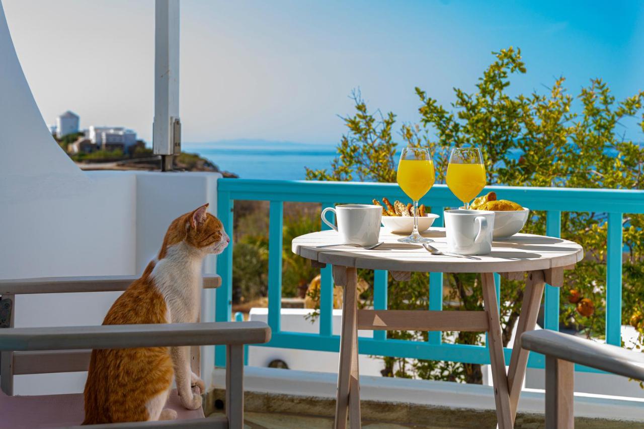 Aegean Dream Apartments Tinos Luaran gambar